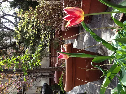 Rented by Halstead Real Estate | media 16