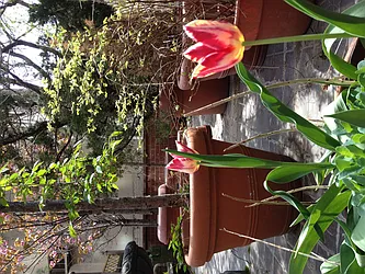 Rented by Halstead Real Estate