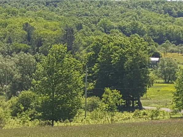Stone Rd Lot 3, Cincinnatus, NY 13040