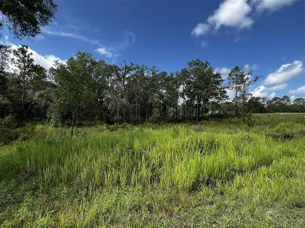 7398 WAGERS DRIVE LOT 16, WEBSTER, FL 33597