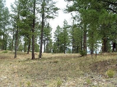 1st image of 3254 S Tehama Cir