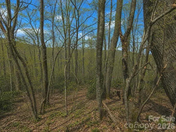 10 Tall Oaks Dr #58a & 58b, Maggie Valley, NC 28751