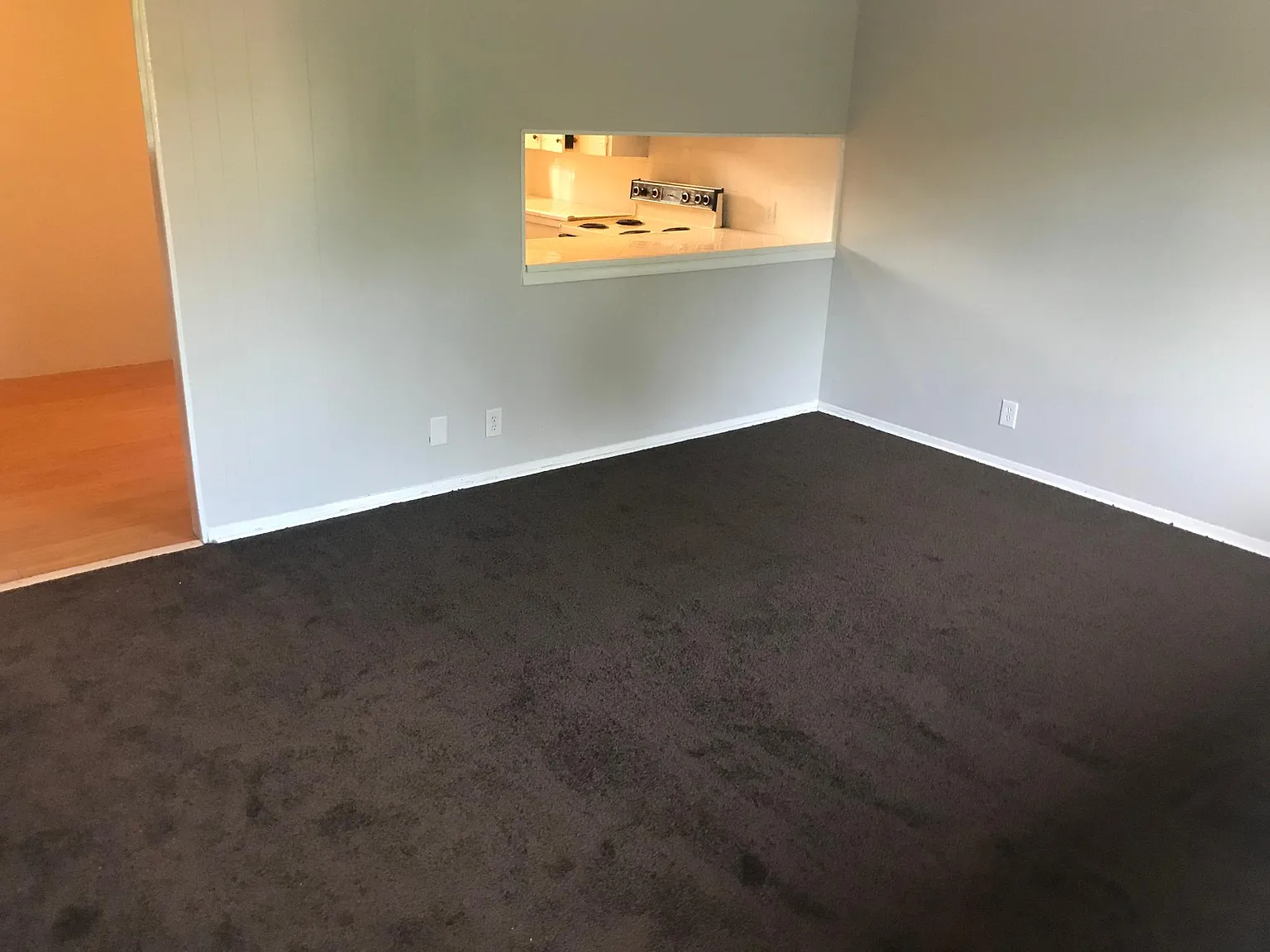 1 bed, 1518 sqft, $795 — Photo 3