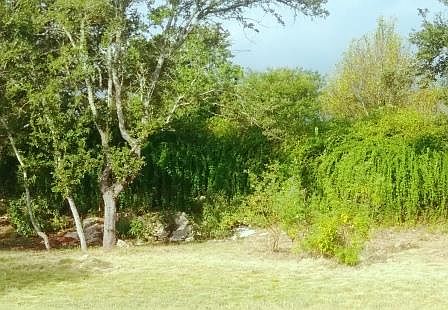 2nd image of 326 Deer Cross Ln