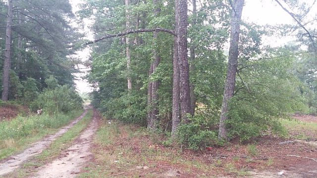 2nd image of 1046 Mesena Rd