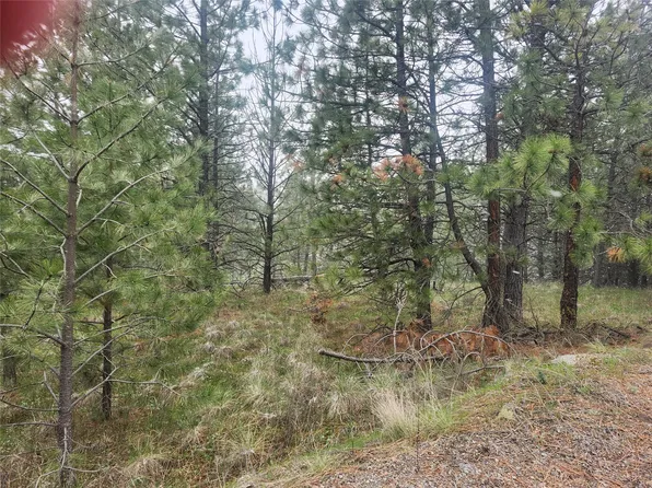 31009 Canyon View Pl, Polson, MT 59860