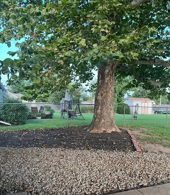 2 bed, 1016 sqft, $950 — Photo 3