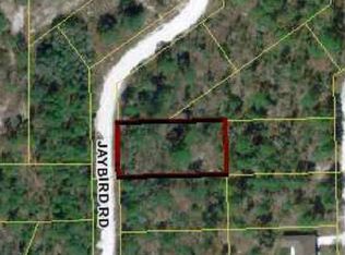 12486 Jaybird Rd, Weeki Wachee, FL 34614