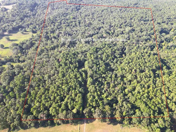 13084-14430 County Road 3104, Gladewater, TX 75647