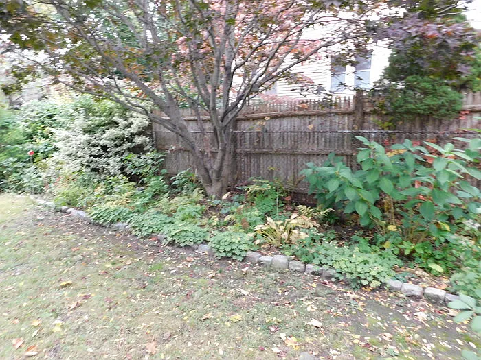 Wendell St — Photo 3