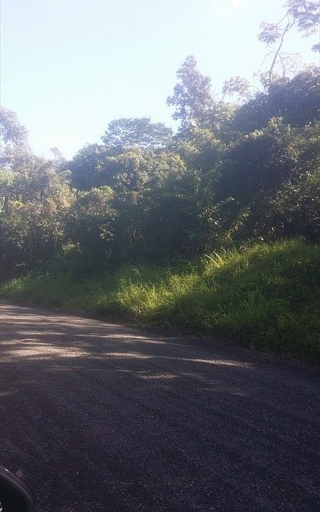 1st image of 21st Ave Lot 1303