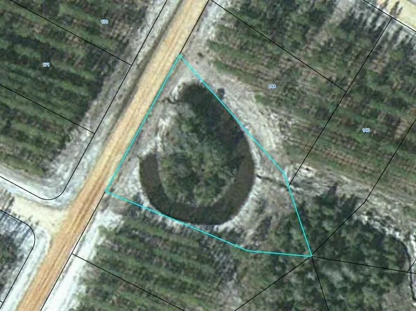 143 Satilla Plantation, Waynesville, GA 31566