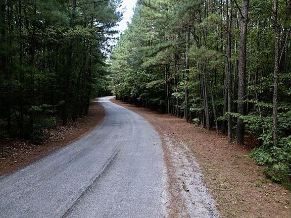 4th image of 110 Beaver Trl #110