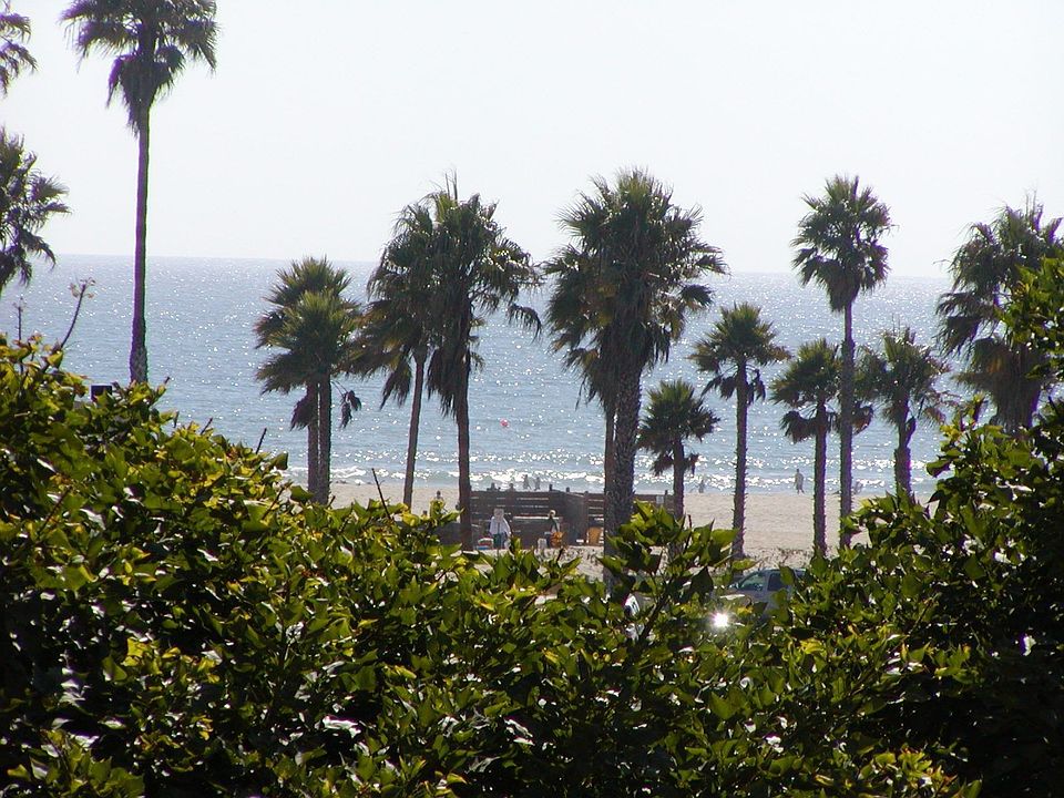 Beach View