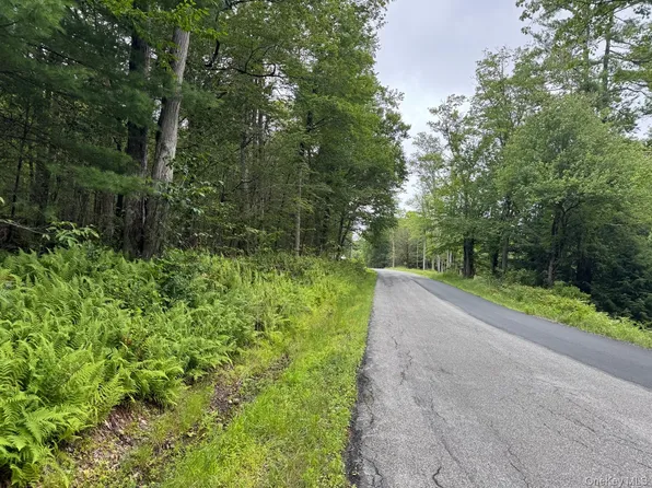 00 Starlight Road, Monticello, NY 12701