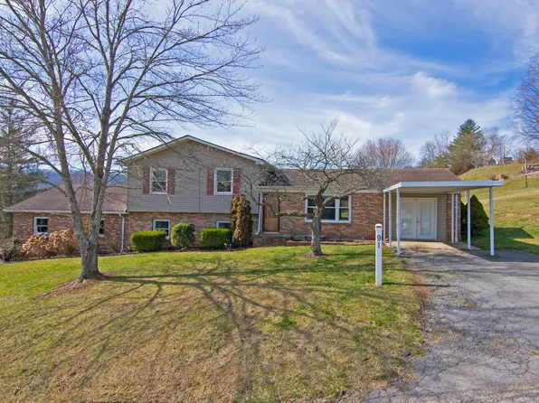 91 Donald Ave, Hinton, WV 25951