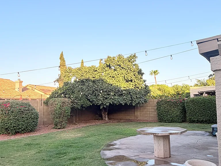 7395 W Oraibi Dr — Photo 13