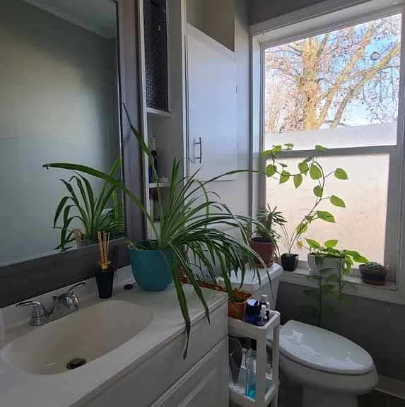 216 Dakota Ave — Photo 13