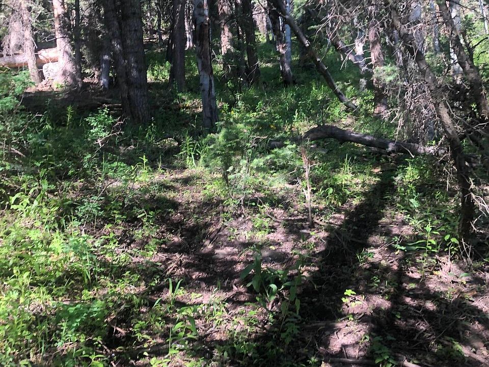 1615 Tollgate Canyon Rd, Coalville, UT 84017 Zillow