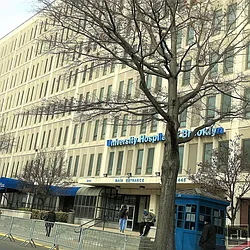 Rented by Highline Residential