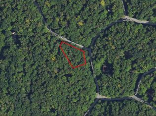 LOT 24 Heideldorf Dr, Bellaire, MI 49615