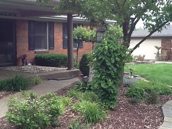 Frt landscaping
