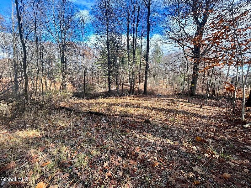 2nd image of 2-38.11 Spring Avenue