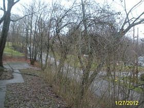 5th image of 112 French St