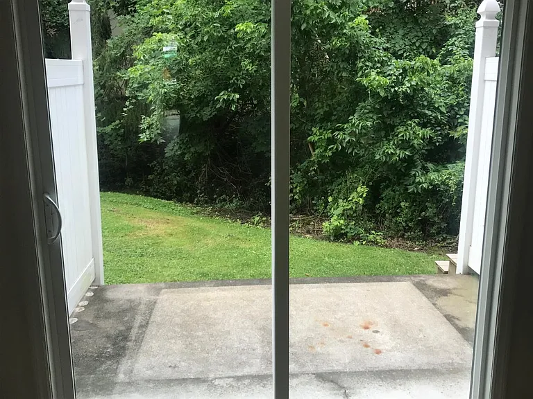View off the back yard and patio