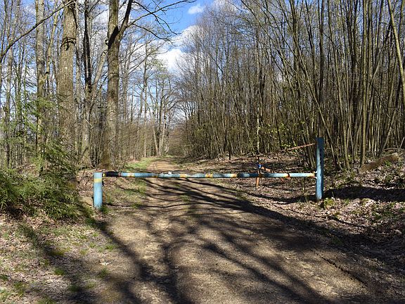 2nd image of Hellings Ln