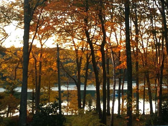 Fall water view from the deck