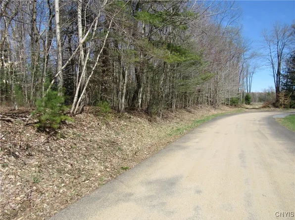 Alder Rd #36, Woodgate, NY 13494