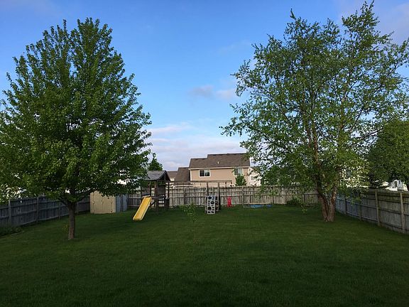 back yard