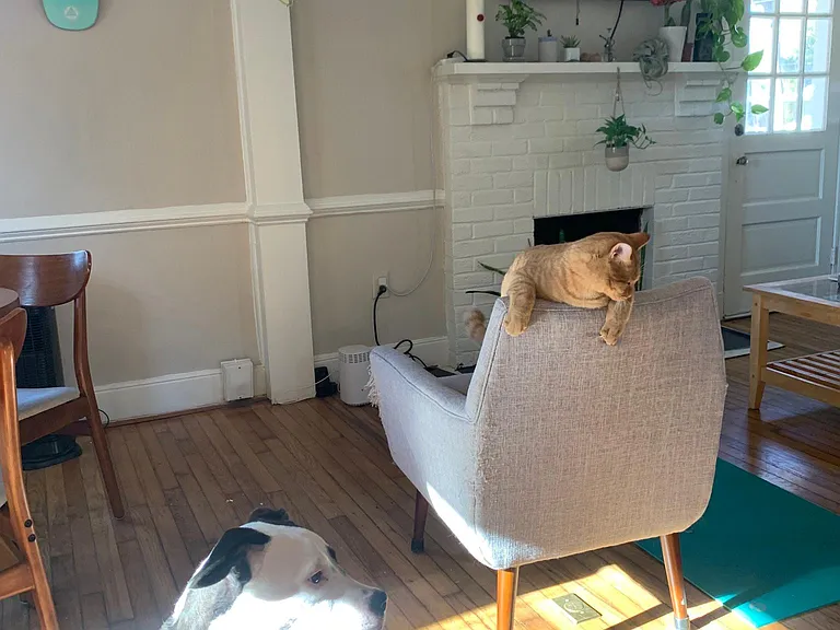 2613 Lincoln Ave — Photo 6