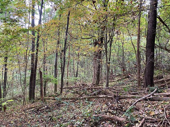 3rd image of 14588 County Road 14 Lot Wp 002