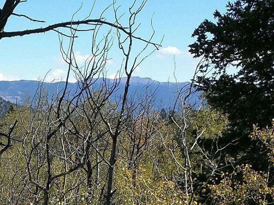 2nd image of 176 Kite Ct