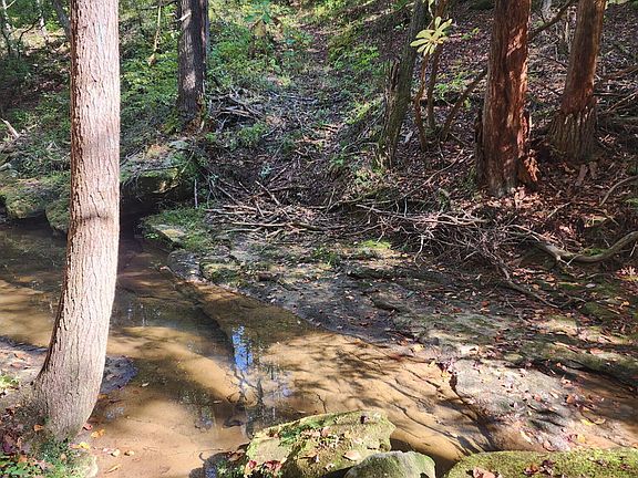 4th image of Rugby Hwy #52