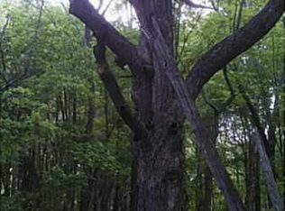 0 Morrison Rd, Morgantown, IN 46160