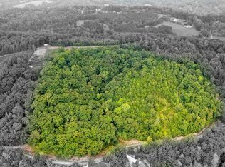 William Dr, Spring City, TN 37381