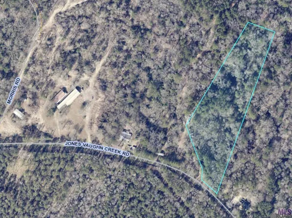 9754 Jones Vaughn Creek Rd, Saint Francisville, LA 70775
