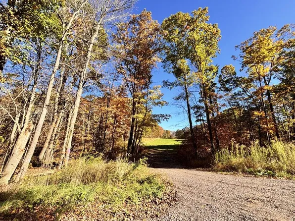 0 Mountain Rd, Meyersdale, PA 15552