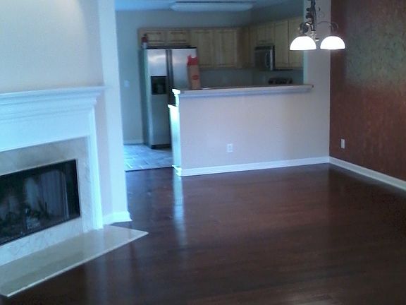 Wood burning fire place