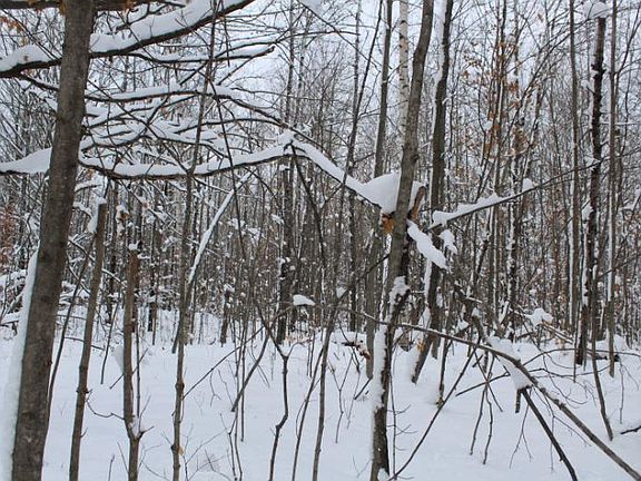 4th image of Off Of Snake Branch Rd