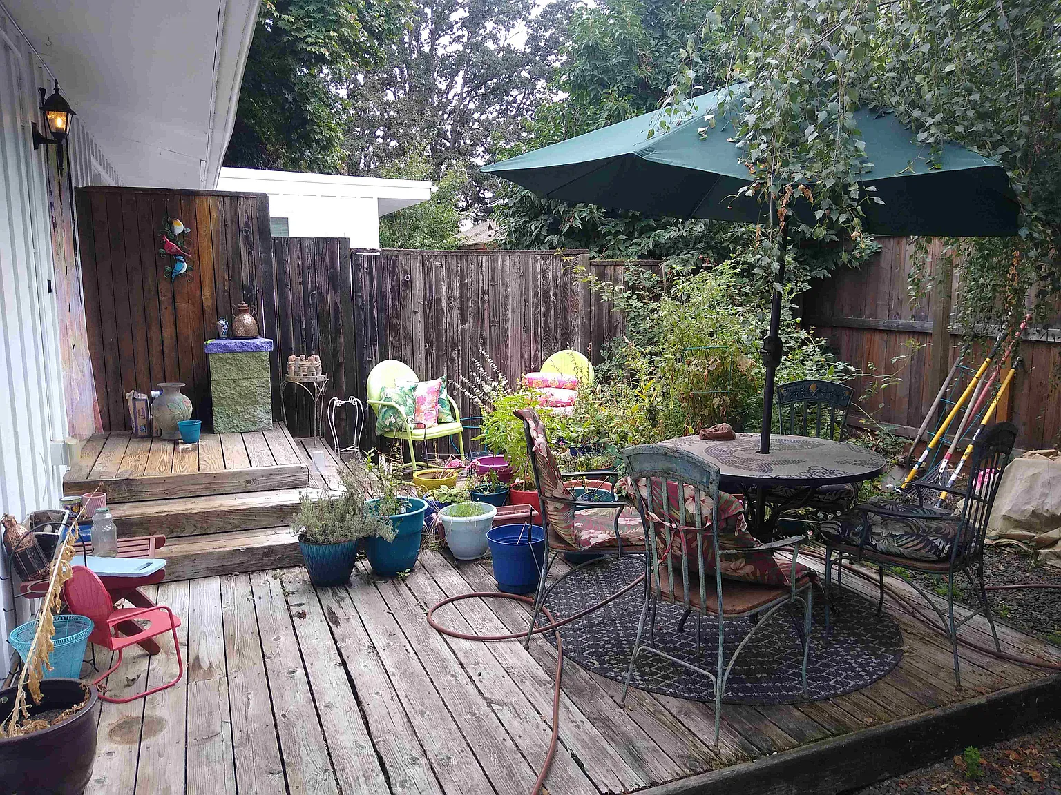 791 Walnut Ave — Photo 4
