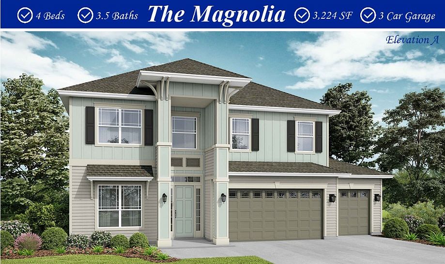 Magnolia A
