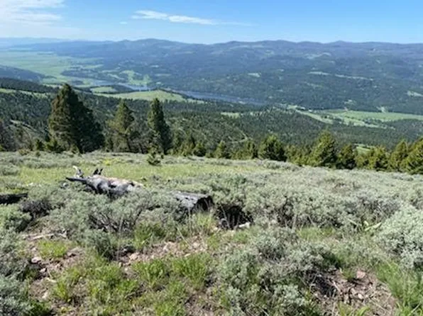 13 Nevada Creek Ranch Dr, Helmville, MT 59843