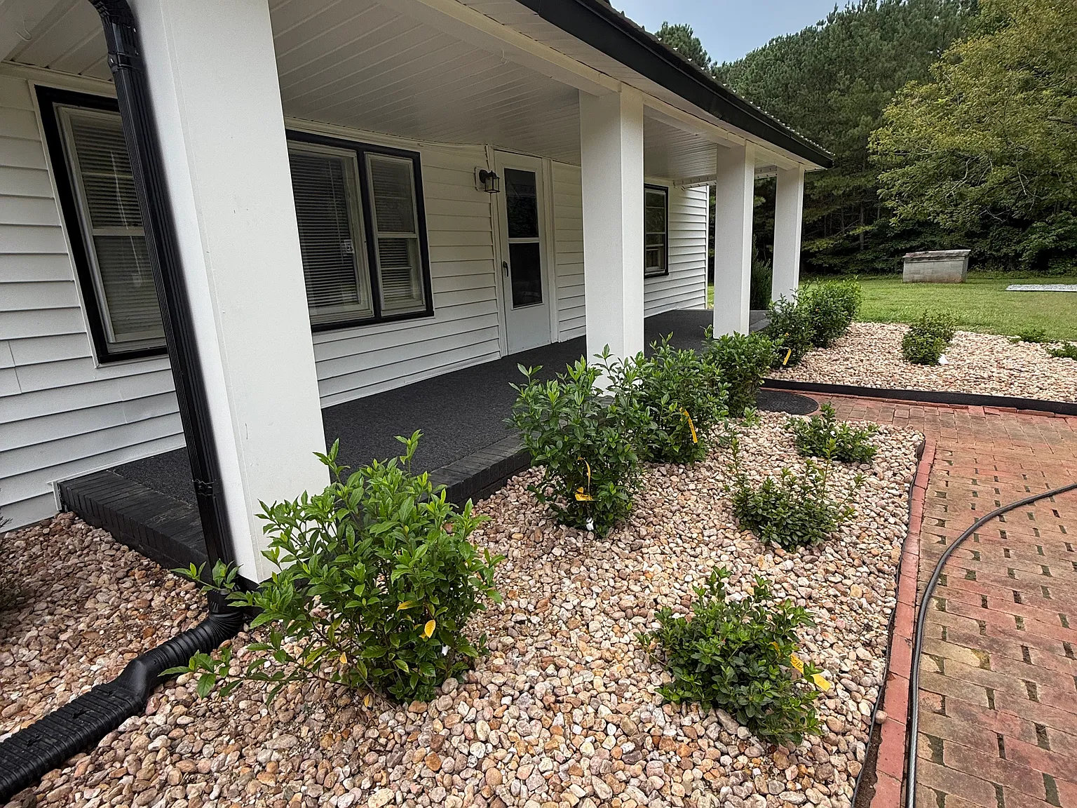 3 bed, 1265 sqft, $2,200 — Photo 3
