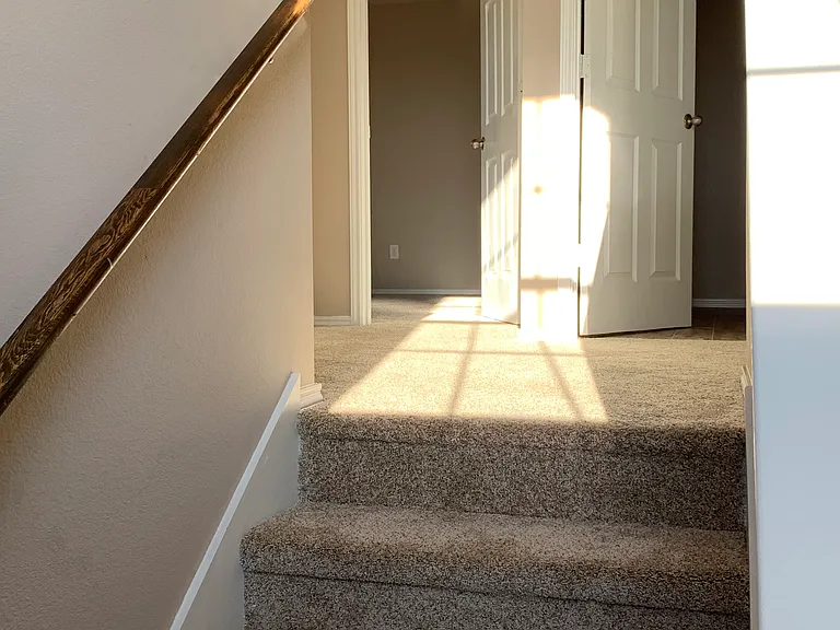 7137 Wind Row Dr — Photo 11