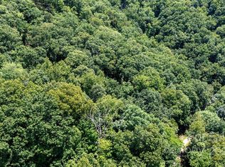 229 N Poplar Dr, Lake Lure, NC 28746