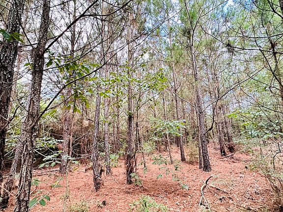 5th image of 0 Chenault Dr Tract A